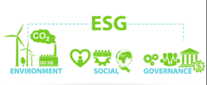 ESG投資の可能性とは！「ESG/SDGsを制するか否かが、企業の成長の分かれ道に。社会貢献と利益は一体となる。」【FINDERS連載開始】機会創出～チャンスを見抜く成功者たち〜　
